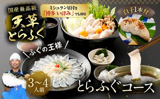 大皿使用 最高級 天草とらふぐコース 3~4人前