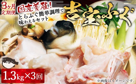 養殖 とらふぐ で味わえるセット 吉宝ふぐ 1.3kg×3回