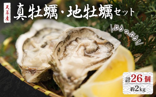 活き天草真牡蠣 10個