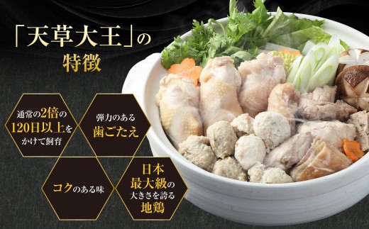 天草大王まんぷく鍋セット