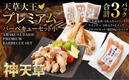 天草大王プレミアムバーベキューセット