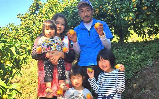 ＜ R8年熊本地震復興支援 ＞特別栽培みかん　10kg サイズミックス