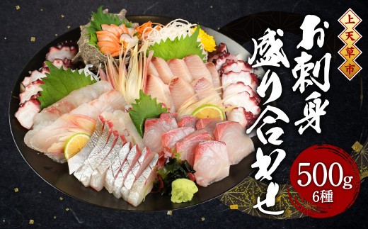 上天草産 旬の鮮魚 お刺身 盛り合わせ 6種