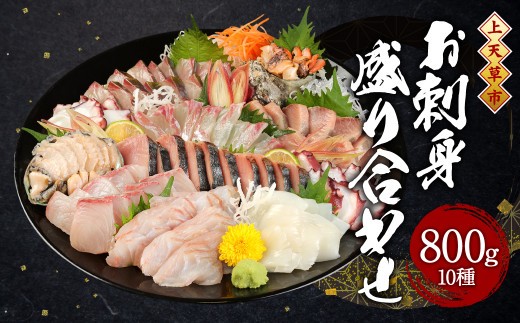 上天草産 旬の鮮魚 お刺身 盛り合わせ 10種