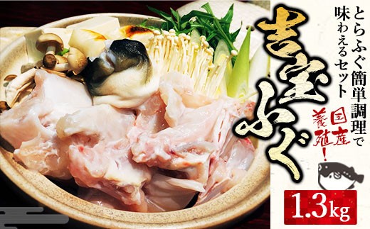 養殖 とらふぐ で味わえるセット 吉宝ふぐ 1.3kg