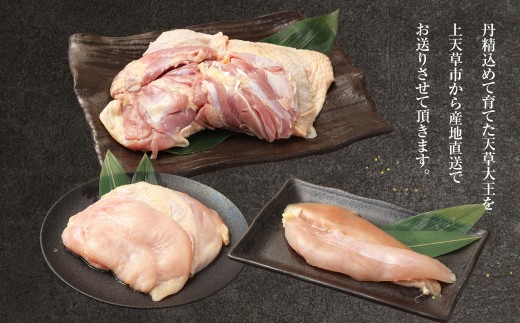 天草大王精肉セット 合計1.5kg(モモ ムネ ササミ )