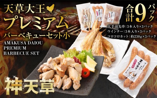 天草大王プレミアムバーベキューセット