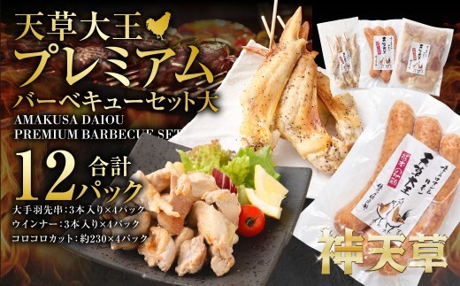 天草大王プレミアムバーベキューセット