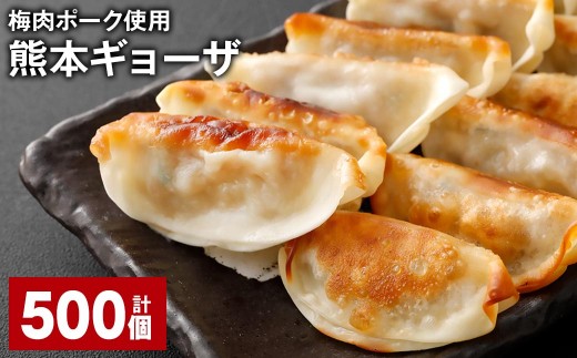 梅肉ポーク使用 熊本ギョーザ 計500個
