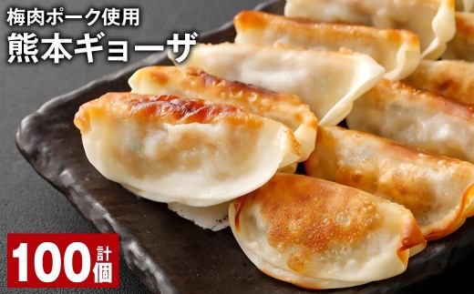梅肉ポーク使用 熊本ギョーザ 計100個