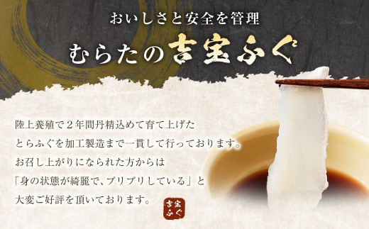 【3ヶ月定期便】【お一人様用】とらふぐ刺身セット(一人前×2皿) 吉宝ふぐ『ポン酢/薬味付き』 ふぐ 河豚 フグ とらふぐ トラフグ 刺身 皮刺し お刺身 ふぐ刺し 1人前 熊本県 上天草市