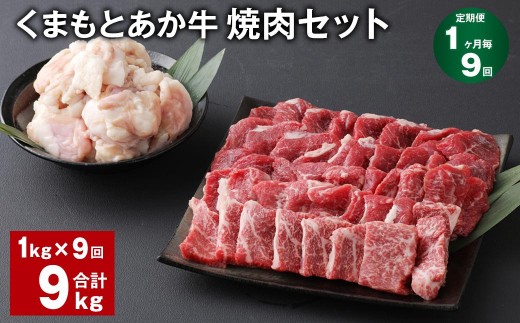 ＜ R8年熊本地震復興支援 ＞【1ヶ月毎9回定期便】 くまもとあか牛 焼肉セット 計約9kg（約1kg×9回） 焼肉 もも ホルモン