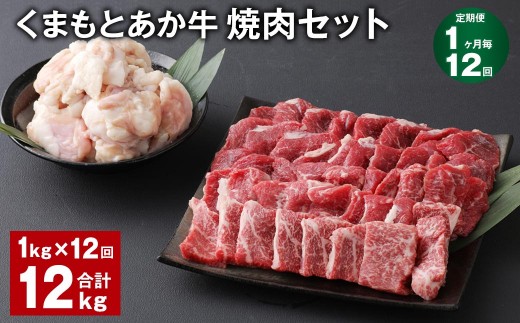 ＜ R8年熊本地震復興支援 ＞【1ヶ月毎12回定期便】 くまもとあか牛 焼肉セット 計約12kg（約1kg×12回） 焼肉 もも ホルモン