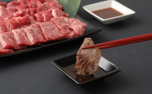 ＜ R8年熊本地震復興支援 ＞【1ヶ月毎12回定期便】 くまもとあか牛 焼肉セット 計約12kg（約1kg×12回） 焼肉 もも ホルモン