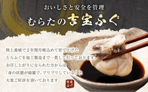〈お一人様用〉とらふぐフルコース 吉宝ふぐ『焼きひれ/特製ポン酢/もみじおろし付き』