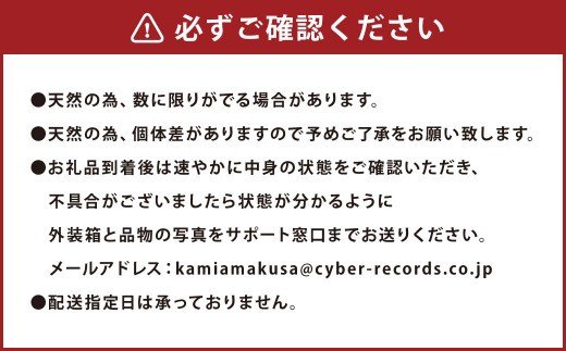 ＜ R8年熊本地震復興支援 ＞ポケットサイズ！ 天然天草砥石 軟口（小型）60型 キャンプ愛用品！ 包丁とぎ 包丁砥ぎ 包丁研ぎ 包丁研ぎ器 研ぎ石 砥ぎ石 キャンプ アウトドア 熊本県 上天草市