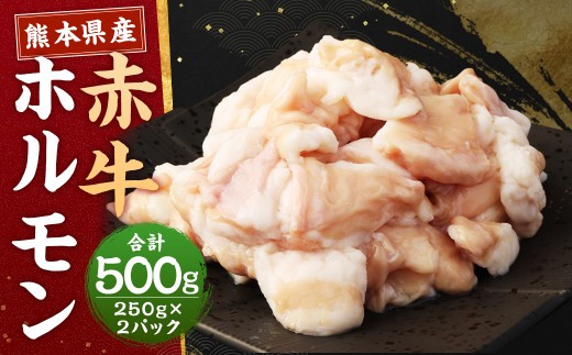 ＜ R8年熊本地震復興支援 ＞熊本県産赤牛 ホルモン 250g×2パック 合計500g ホルモン もつ モツ 焼き肉 やきにく 冷凍 熊本県産 国産