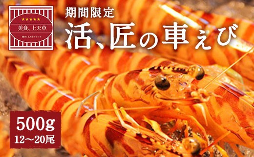 ＜ R8年熊本地震復興支援 ＞【配送日必須】【 上天草市 ブランド認証品 】活、匠の 車えび 約500g（約12～20尾） 車海老 クルマエビ えび 海老 エビ 魚介 海鮮 常温 【発送期間2026年