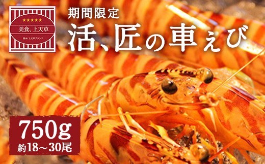 ＜ R8年熊本地震復興支援 ＞【配送日必須】【 上天草市 ブランド認証品 】活、匠の 車えび 約750g （約18～30尾） 車海老 クルマエビ えび 海老 エビ 魚介 海鮮 常温 熊本県【発送期間2