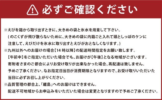 ＜ R8年熊本地震復興支援 ＞【配送日必須】【 上天草市 ブランド認証品 】活、匠の 車えび 約750g （約18～30尾） 車海老 クルマエビ えび 海老 エビ 魚介 海鮮 常温 熊本県【発送期間2