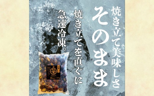 ＜ R8年熊本地震復興支援 ＞【定期便6ヵ月】 無添加和栗専門店 美むらの和栗 焼き栗 1kg くり クリ 栗 焼きぐり 和栗 砂糖不使用 蒸し焼き