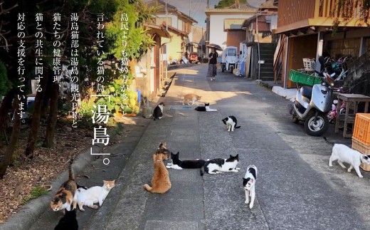 ＜ R8年熊本地震復興支援 ＞ねこの島！湯島！オリジナルポストカード【地域猫活動支援】 猫 ねこ ネコ オリジナルグッズ ポストカード 2種 セット 猫島 猫の島 湯島 熊本県 上天草市