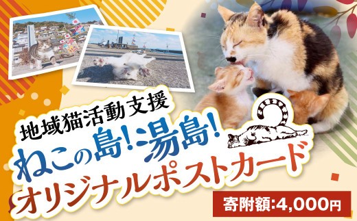 ＜ R8年熊本地震復興支援 ＞ねこの島！湯島！オリジナルポストカード【地域猫活動支援】 猫 ねこ ネコ オリジナルグッズ ポストカード オリジナルポストカード 2種 セット 猫島 猫の島 湯島 熊本県