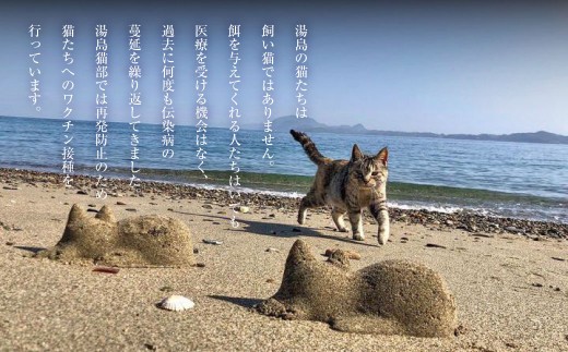 ＜ R8年熊本地震復興支援 ＞ねこの島！湯島！オリジナルポストカード【地域猫活動支援】 猫 ねこ ネコ オリジナルグッズ ポストカード オリジナルポストカード 2種 セット 猫島 猫の島 湯島 熊本県