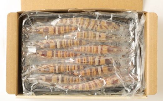 ＜ R8年熊本地震復興支援 ＞｢極｣ 原点の車海老 ｢急速冷凍｣ 900g (22～25尾) 特大サイズ【2026年11月下旬より順次発送予定】