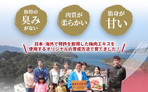 （飼育期間中）完全無薬！梅肉エキス肥育 梅肉ポークモモしゃぶセット 750g（250g×3パック）しゃぶしゃぶ 豚しゃぶ すき焼き もも モモ肉 豚肉 肉 お肉 豚肉 豚 小分け 冷凍 熊本県 上天草