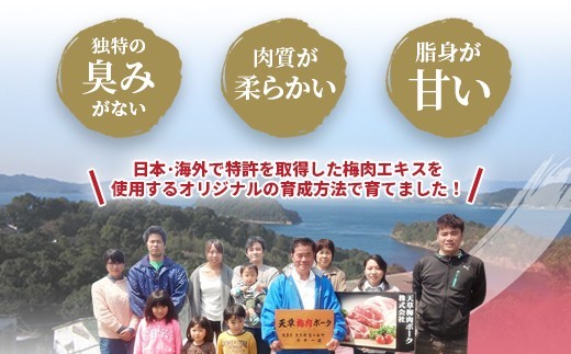 （飼育期間中）完全無薬！梅肉エキス肥育 熊本県産 天草梅肉ポーク 豚 ミンチ 1kg 500×2パック 冷凍 肉 お肉 豚肉 豚ミンチ ひき肉 挽き肉 小分け お取り寄せ 冷凍 熊本県 上天草市