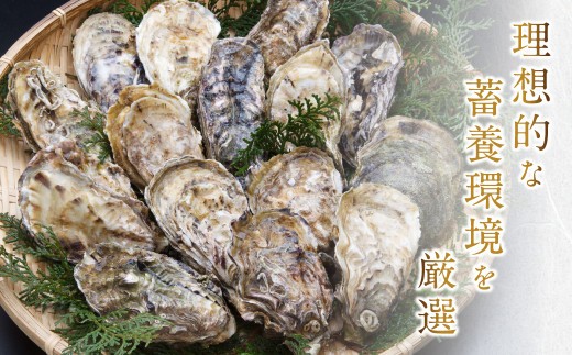 活き天草真牡蠣 2kg（100g以上×20個）加熱用【11月上旬～翌年3月下旬発送予定】かき 牡蠣 カキ
