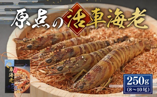 ＜ R8年熊本地震復興支援 ＞【配送日指定品】原点の車海老 250g （8～10尾） 活き車海老 生えび 海老 エビ えび 車エビ 車海老 活きたまま 熊本県 上天草市【2026年11月30日から20