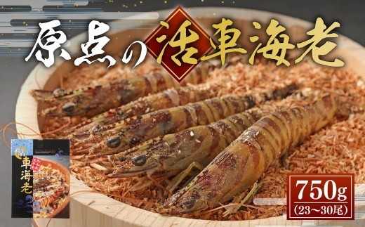 < R8年熊本地震復興支援 >【配送日指定品】原点の車海老 750g (23~32尾) 活き車海老 生えび 海老 エビ えび 車エビ 車海老 活きたまま 熊本県 上天草市【2026年11月30日から2