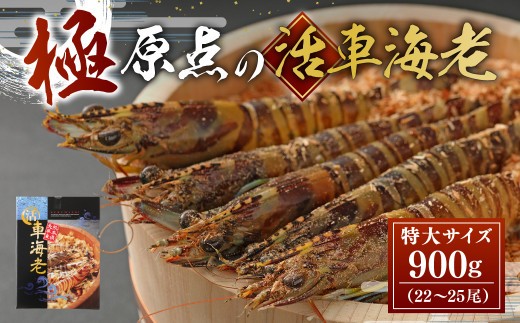 ＜ R8年熊本地震復興支援 ＞【配送日指定品】「極」原点の車海老 900g （22～25尾） 特大サイズ 活き車海老 生えび 海老 エビ えび 車エビ 車海老 活きたまま 熊本県 上天草市【2026年