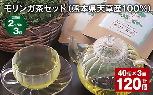 ＜ R8年熊本地震復興支援 ＞【2ヶ月毎3回定期便】モリンガ茶セット（熊本県天草産100%） 計120個（40個×3回） ティーバッグ お茶 茶葉
