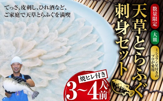 < R8年熊本地震復興支援 >【数量限定】 【大皿】 【ミシュラン星付きのプロが愛用】 天草 とらふぐ 刺身 セット 3~4人前 焼ヒレ 付き 【2026年12月下旬-2027年3月下旬発送予定】ふぐ