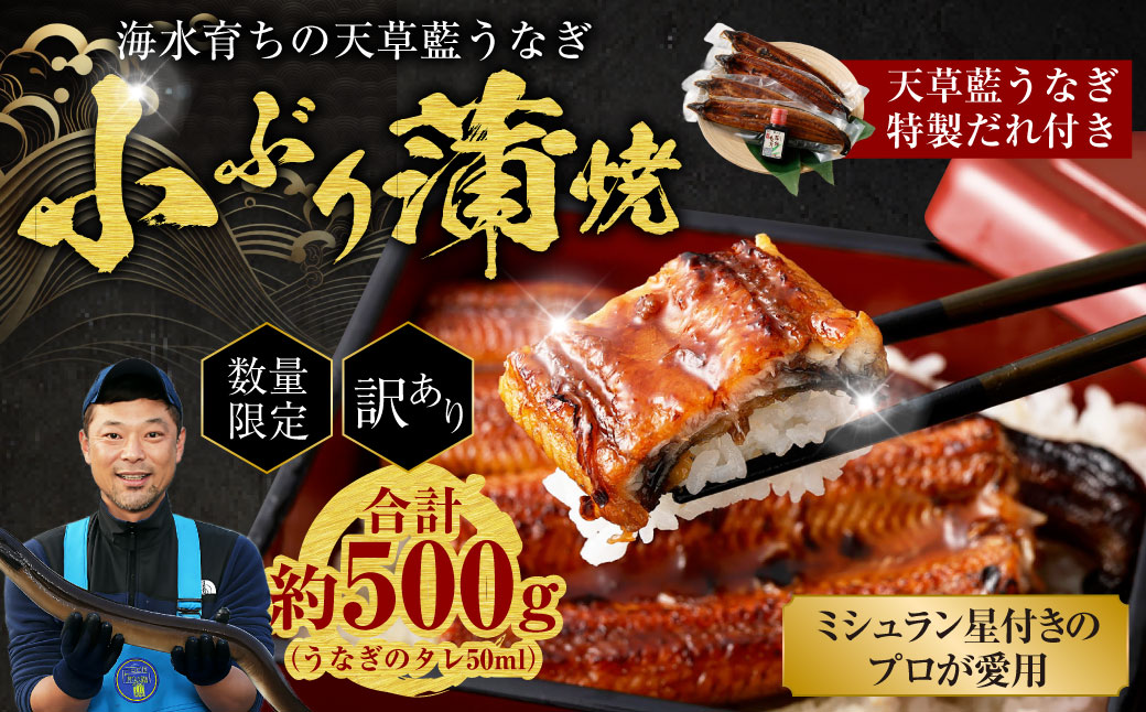 海水育ちの天草 藍うなぎ 小ぶり 蒲焼 500g