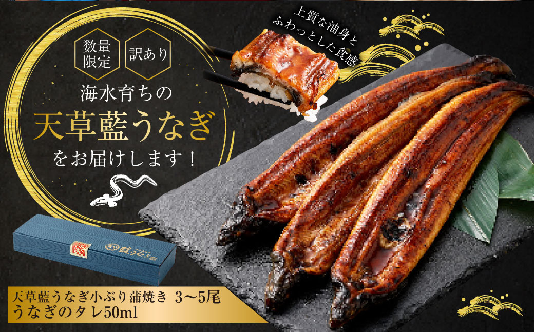 【令和8年度熊本地震復興支援】【数量限定】 【訳あり】 【ミシュラン星付きのプロが愛用】海水育ちの 天草 藍うなぎ 小ぶり 蒲焼 500g（3～5尾）  養殖期間中 無投薬 鰻 ウナギ うなぎ うなぎ