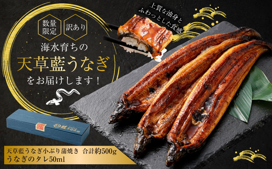 【数量限定】 【訳あり】 【ミシュラン星付きのプロが愛用】海水育ちの 天草 藍うなぎ 小ぶり 蒲焼 500g 養殖期間中 無投薬 鰻 ウナギ うなぎ うなぎ蒲焼 鰻の蒲焼 国産 【2026年6月下旬より順次発送予定】
