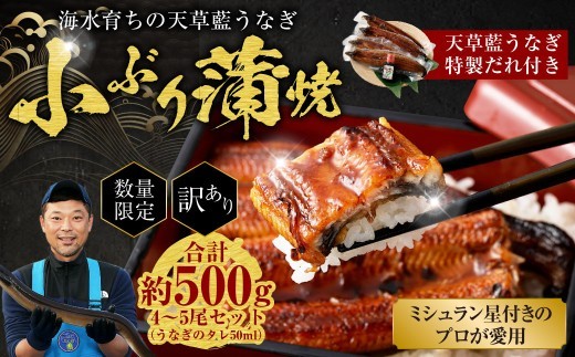 【令和8年度熊本地震復興支援】【数量限定】 【訳あり】 【ミシュラン星付きのプロが愛用】海水育ちの 天草 藍うなぎ 小ぶり 蒲焼 500g（4～5尾）  養殖期間中 無投薬 鰻 ウナギ うなぎ うなぎ