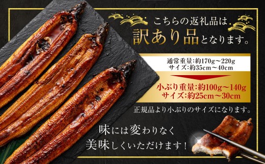 【令和8年度熊本地震復興支援】【数量限定】 【訳あり】 【ミシュラン星付きのプロが愛用】海水育ちの 天草 藍うなぎ 小ぶり 蒲焼 500g（3～5尾）  養殖期間中 無投薬 鰻 ウナギ うなぎ うなぎ