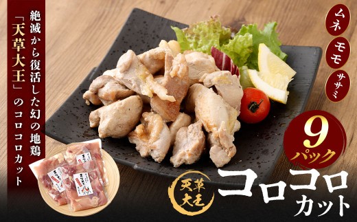 ＜ R8年熊本地震復興支援 ＞天草大王 コロコロカット 9セット 200g×9パック 合計1800g 鶏肉 肉 お肉 地鶏 一口大 カット済 国産 九州産 熊本県産 冷凍