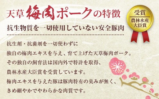 【2ヶ月毎3回定期便】完全無薬！梅肉エキス肥育 熊本県産 天草梅肉ポーク 豚ロース しゃぶしゃぶ用 計約4.8kg 1.6kg×3回 豚肉 お肉