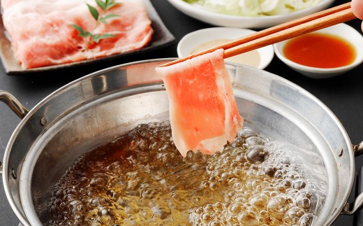 【2ヶ月毎3回定期便】完全無薬！梅肉エキス肥育 熊本県産 天草梅肉ポーク 豚ロース しゃぶしゃぶ用 計約4.8kg 1.6kg×3回 豚肉 お肉