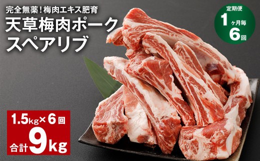 完全無薬 梅肉エキス肥育 天草梅肉ポーク