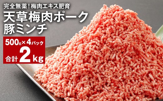 完全無薬 梅肉エキス肥育 天草梅肉ポーク