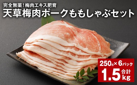 完全無薬 梅肉エキス肥育 天草梅肉ポークももしゃぶセット