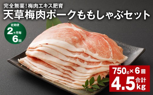 【2ヶ月毎6回定期便】完全無薬！梅肉エキス肥育 天草梅肉ポークももしゃぶセット 計約4.5kg（計約750g×6回） 豚肉 お肉