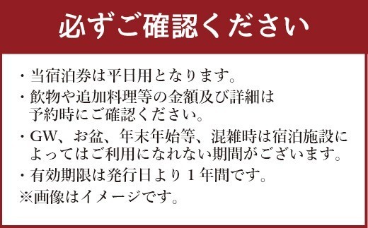 ホテル竜宮 ペア宿泊券(1泊朝食付き) 平日限定 ホテル 旅館 宿泊 観光 熊本県 上天草市